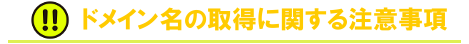 ドメイン名の取得に関する注意事項