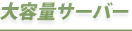 100GB・200GBの大容量サーバー