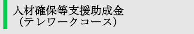 人材確保等支援助成金（テレワークコース）